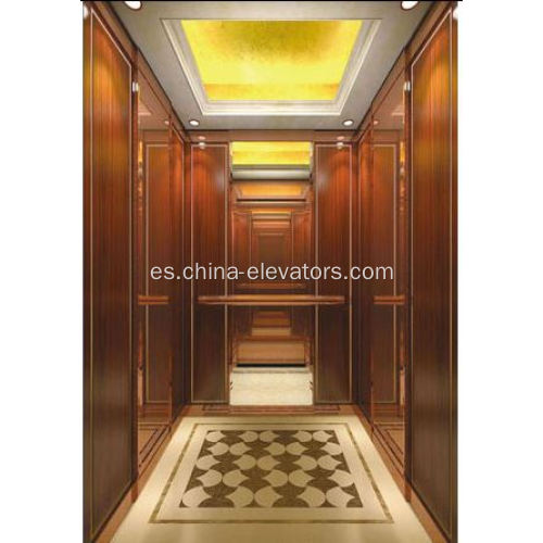 MRL Asamblea del auto de elevación de pasajeros